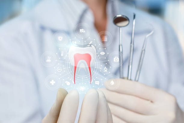 Best Dental Fillings (Composite and Amalgam)  in Pemberville, OH